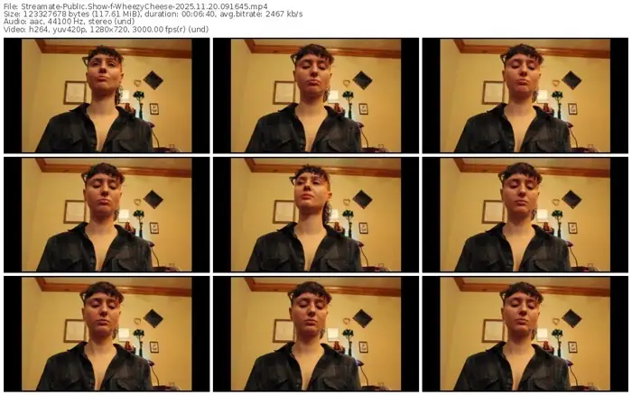 streamate-wheezycheese-11-20-2025-09-16-45