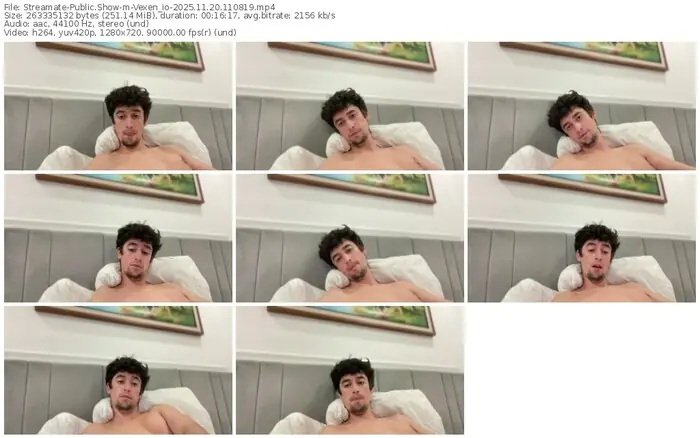 streamate-vexen_io-11-20-2025-11-08-19