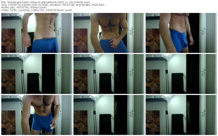 streamate-alphahhunk-11-20-2025-22-44-26