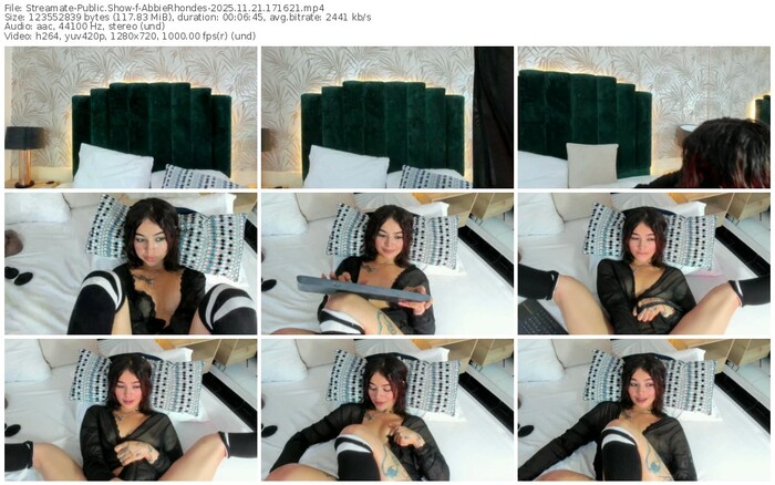 streamate-abbierhondes-11-21-2025-17-16-21