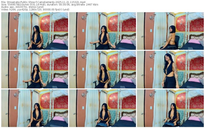 streamate-cameliahardy-11-21-2025-11-53-21