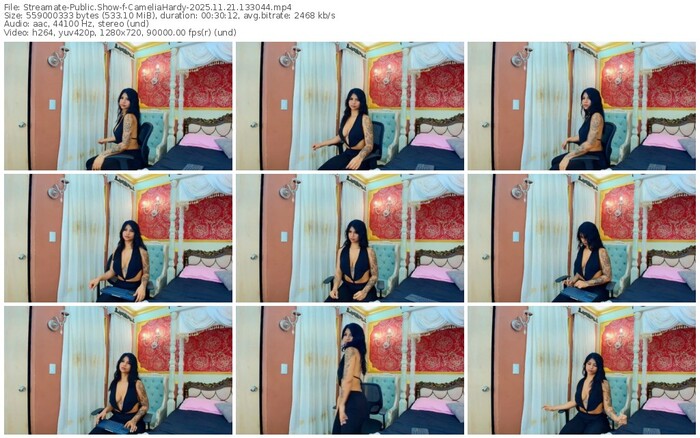 streamate-cameliahardy-11-21-2025-13-30-44