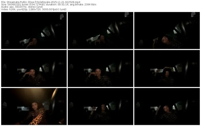 streamate-nylaroyale-11-21-2025-02-25-28