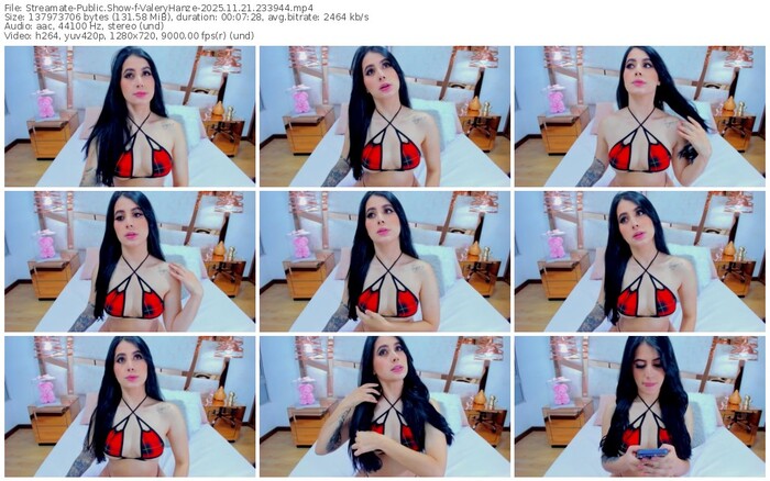 streamate-valeryhanze-11-21-2025-23-39-44