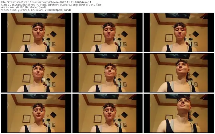 streamate-wheezycheese-11-21-2025-09-08-44