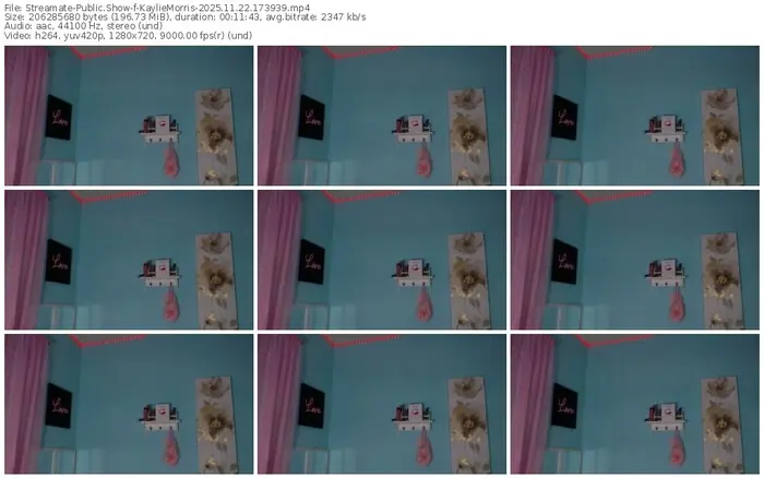 streamate-kayliemorris-11-22-2025-17-39-39