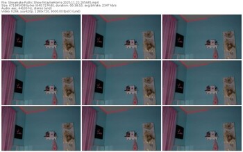 streamate-kayliemorris-11-22-2025-20-56-45