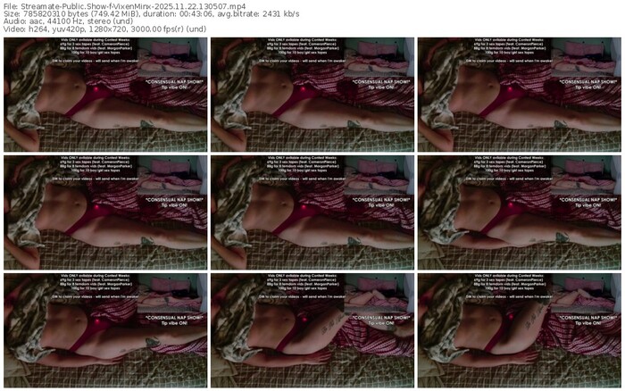 streamate-vixenminx-11-22-2025-13-05-07