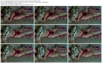 streamate-vixenminx-11-22-2025-14-52-15