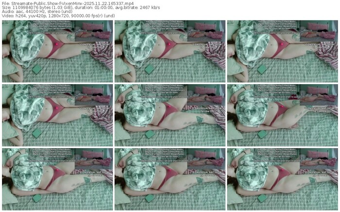 streamate-vixenminx-11-22-2025-16-53-37
