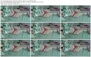 streamate-vixenminx-11-22-2025-18-54-59