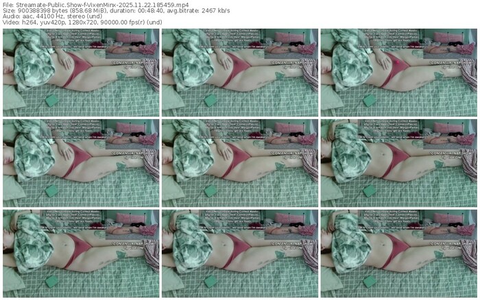 streamate-vixenminx-11-22-2025-18-54-59