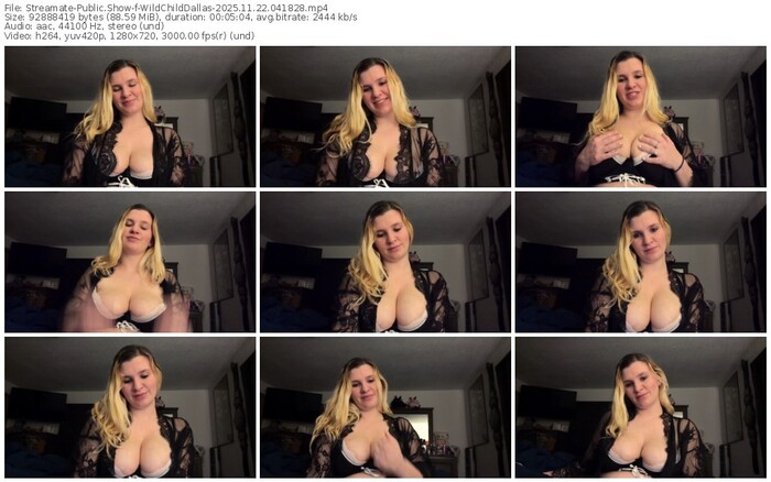 streamate-wildchilddallas-11-22-2025-04-18-28