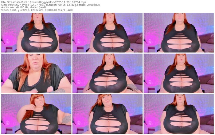 streamate-biggymelon-11-23-2025-16-27-04