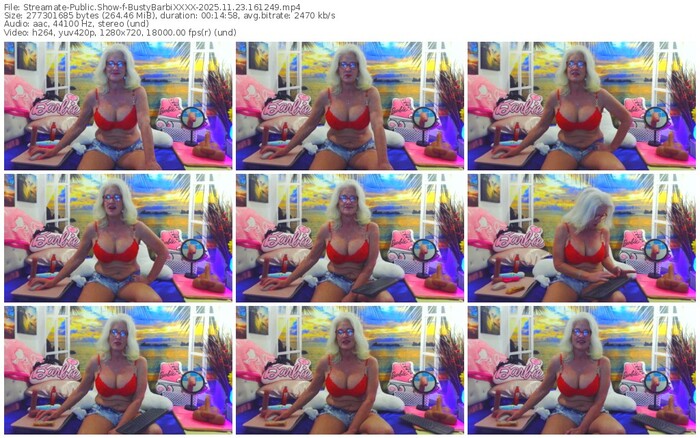 streamate-bustybarbixxxx-11-23-2025-16-12-49