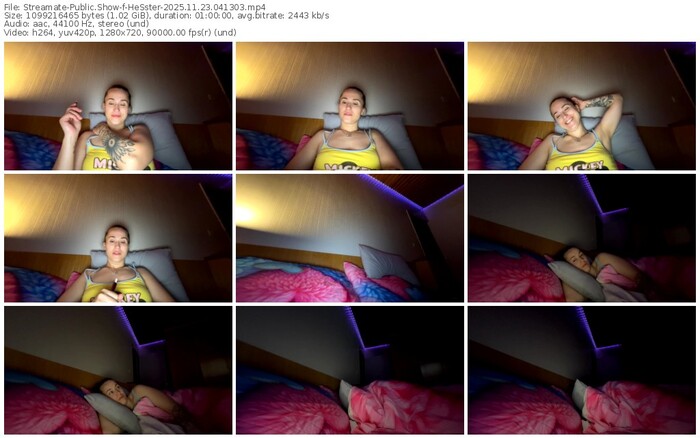 streamate-hesster-11-23-2025-04-13-03