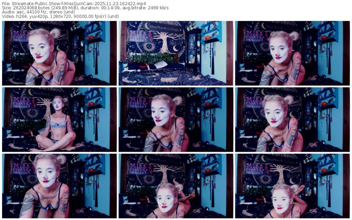 streamate-missquincam-11-23-2025-16-24-22