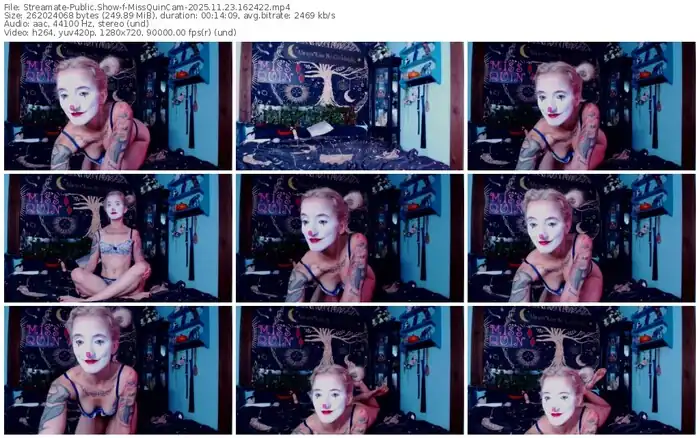 streamate-missquincam-11-23-2025-16-24-22