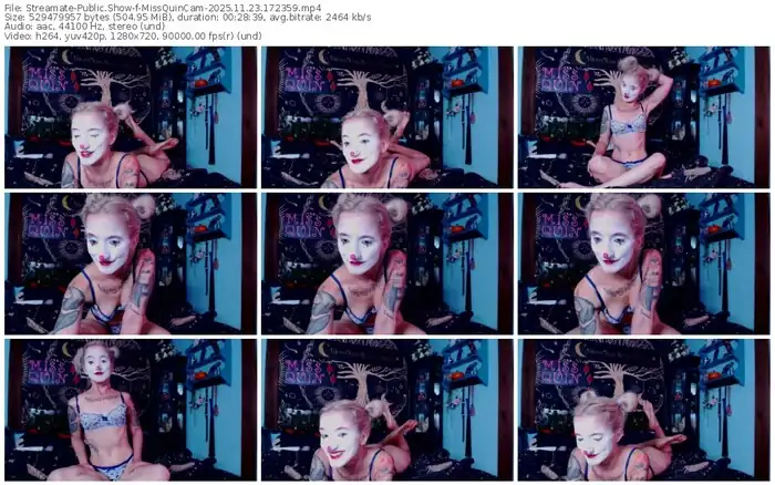 streamate-missquincam-11-23-2025-17-23-59