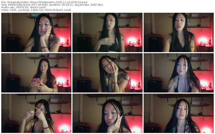 streamate-priestesswu-11-23-2025-02-51-19