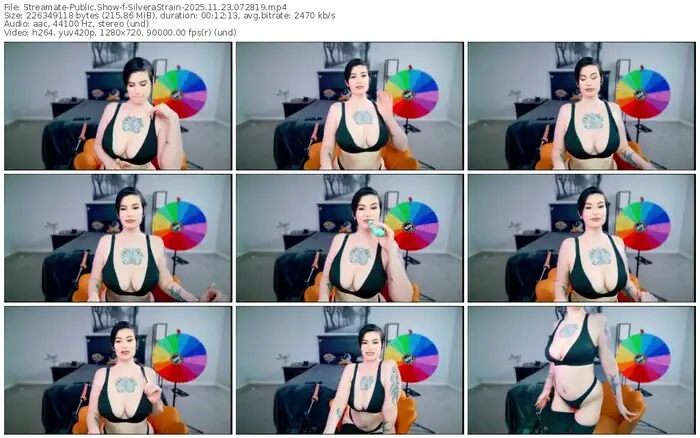 streamate-silverastrain-11-23-2025-07-28-19