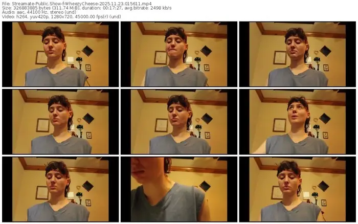 streamate-wheezycheese-11-23-2025-01-56-11