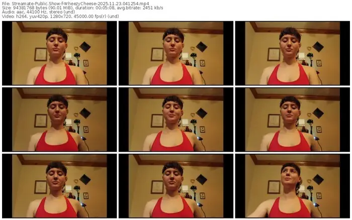 streamate-wheezycheese-11-23-2025-04-12-54