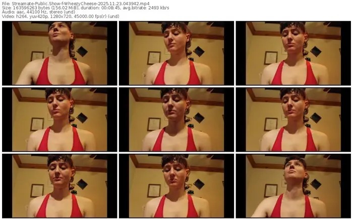 streamate-wheezycheese-11-23-2025-04-39-42