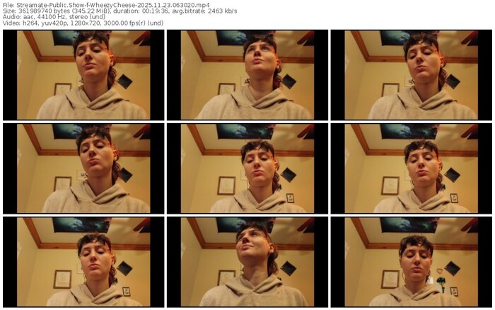 streamate-wheezycheese-11-23-2025-06-30-20