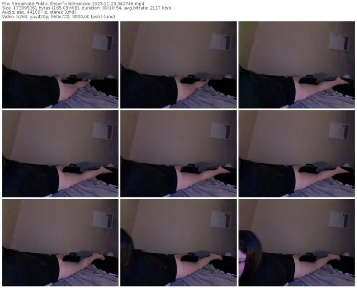 streamate-chillnsmoke-11-23-2025-04-27-46