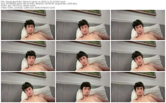 streamate-vexen_io-11-23-2025-12-58-27