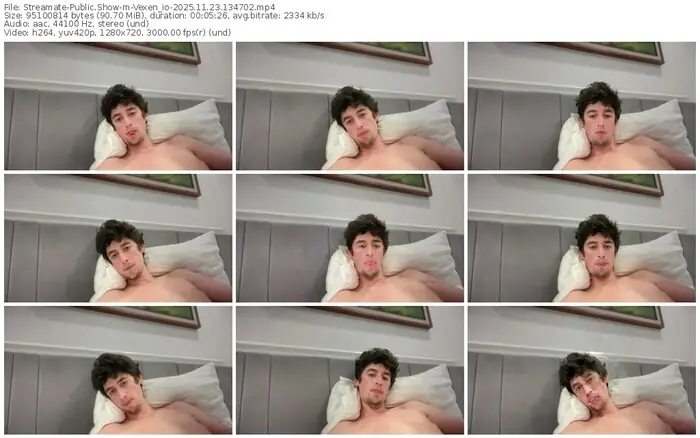 streamate-vexen_io-11-23-2025-13-47-02