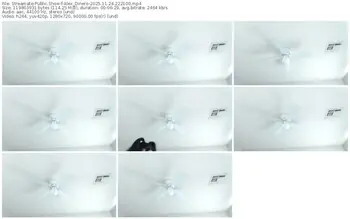 streamate-alex_dinero-11-24-2025-22-21-00