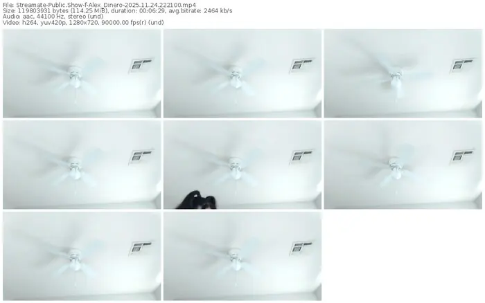 streamate-alex_dinero-11-24-2025-22-21-00