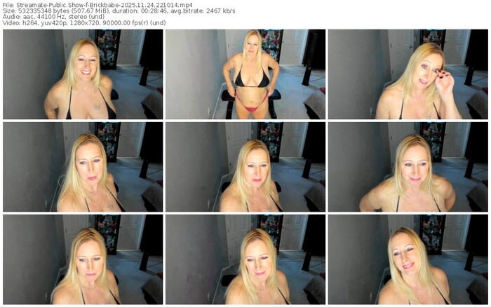 streamate-brickbabe-11-24-2025-22-10-14