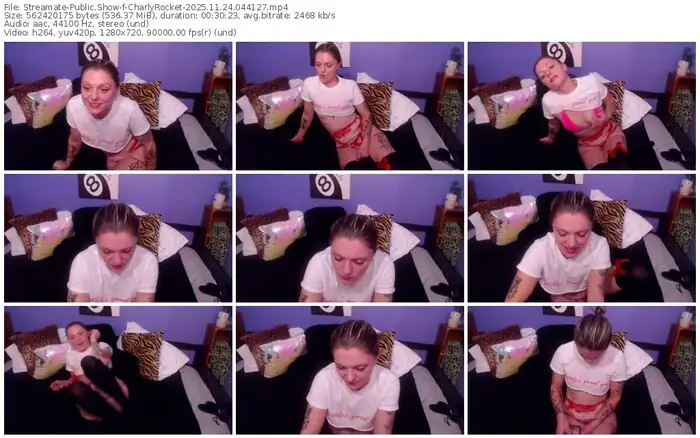 streamate-charlyrocket-11-24-2025-04-41-27