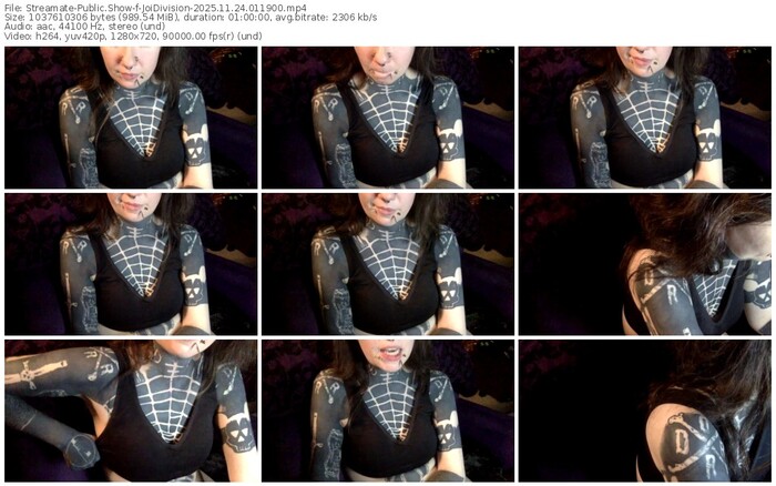 streamate-joidivision-11-24-2025-01-19-00