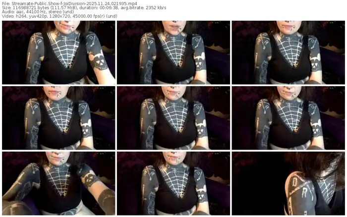 streamate-joidivision-11-24-2025-02-19-35