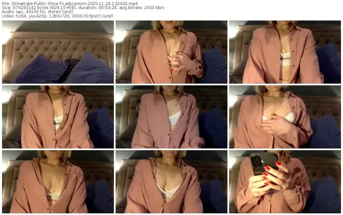 streamate-ladylemon-11-24-2025-13-24-20