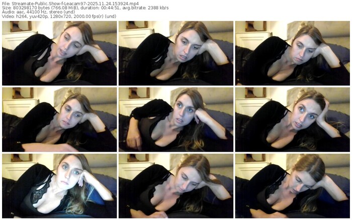 streamate-leacam97-11-24-2025-15-39-24