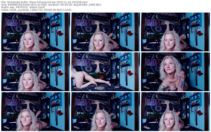 streamate-missquincam-11-24-2025-23-21-58