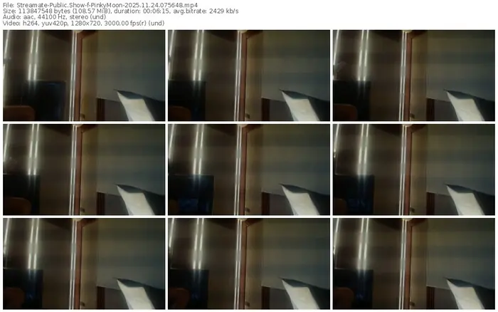streamate-pinkymoon-11-24-2025-07-56-48