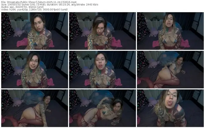 streamate-zaturn-11-24-2025-15-36-16