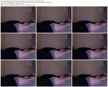 streamate-chillnsmoke-11-24-2025-04-48-57