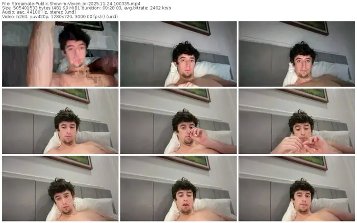 streamate-vexen_io-11-24-2025-10-03-35