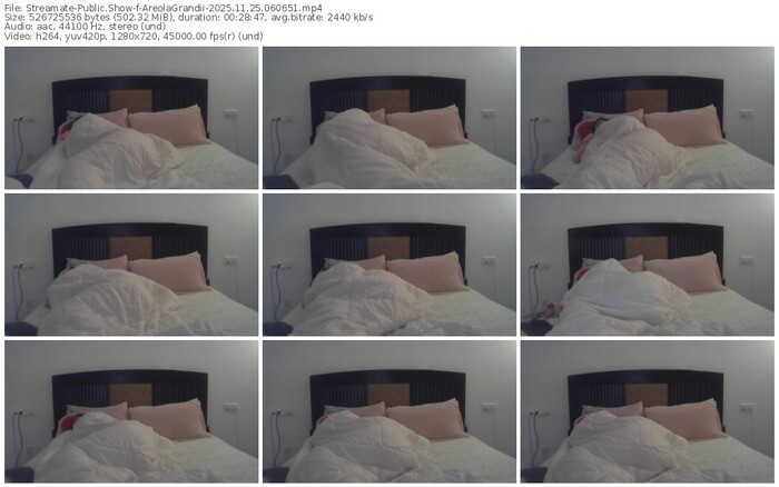 streamate-areolagrandii-11-25-2025-06-06-51