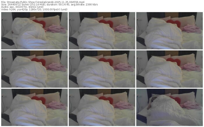 streamate-areolagrandii-11-25-2025-06-45-56