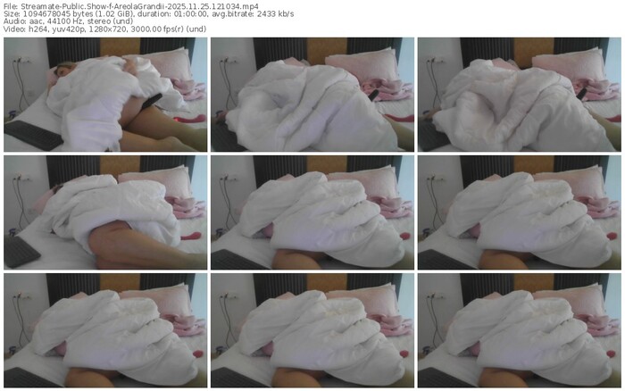 streamate-areolagrandii-11-25-2025-12-10-34