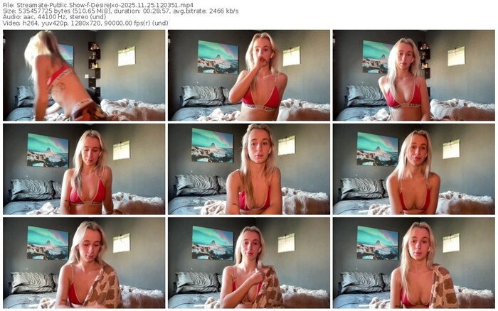 streamate-desirejxo-11-25-2025-12-03-51