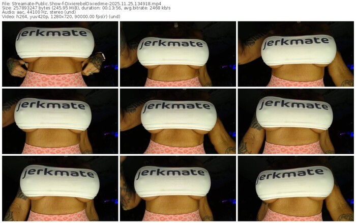 streamate-dixierebeldixiedime-11-25-2025-13-49-18